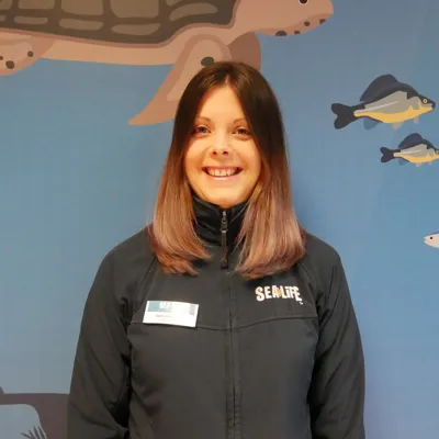 Online Mitarbeiter Profil Sabsi (1)