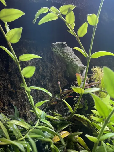 SLMUC Wasseragame Neu 23.02.2022