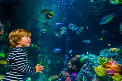 Aquarium