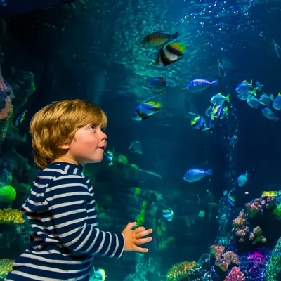 Aquarium