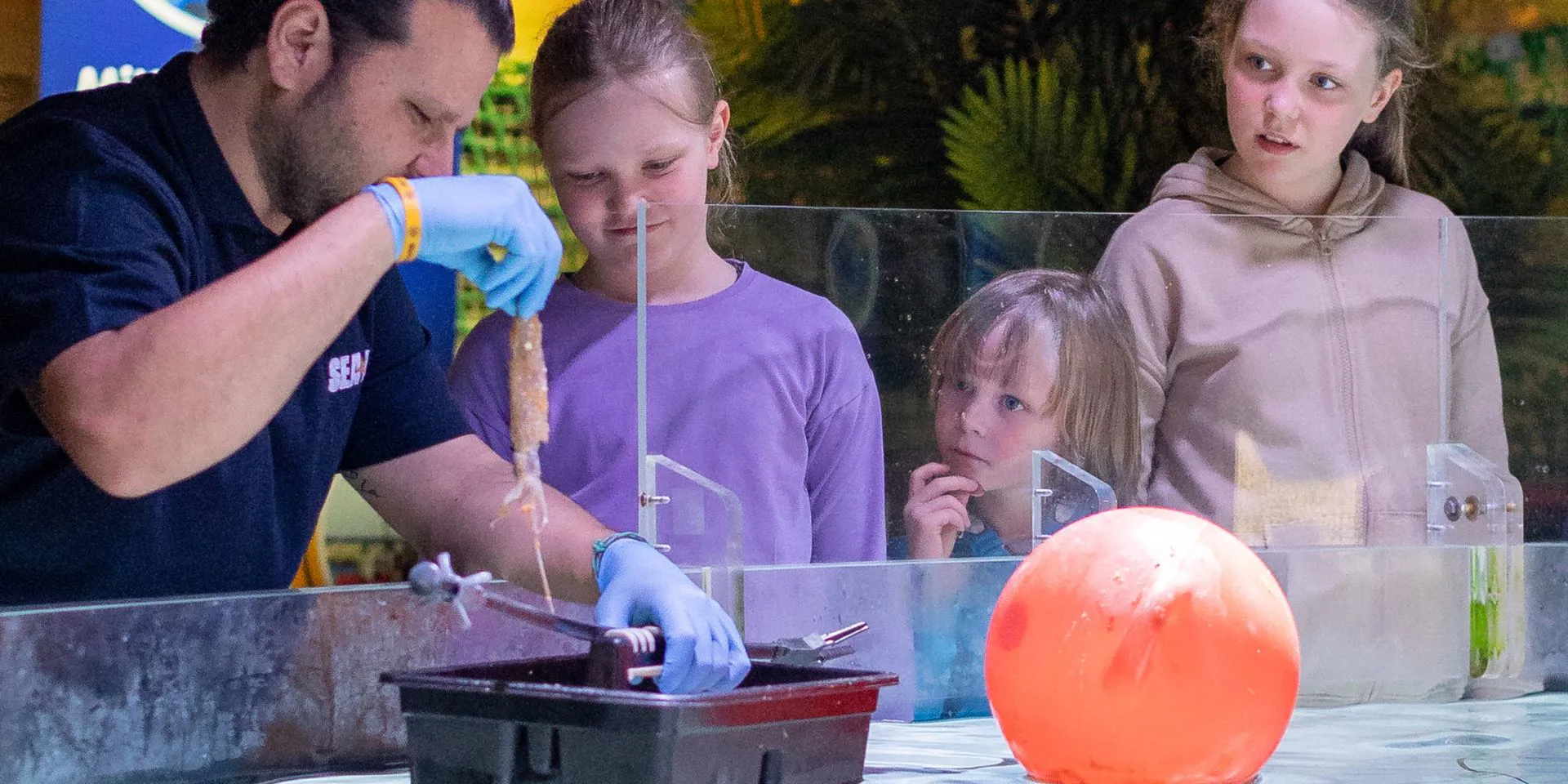 Fütterung Mittelmeerhafen