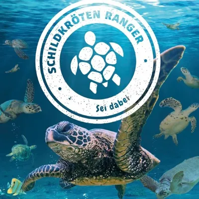 Schildkröten Themenwochen