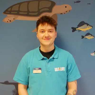 Online Mitarbeiter Profil Elias (3)