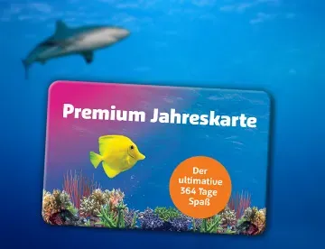 Accesso 360X276px Sl Premium