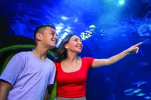 All through September healthcare professionals receive FREE entry plus 30% off for their friends and family-up to six (6) guests.