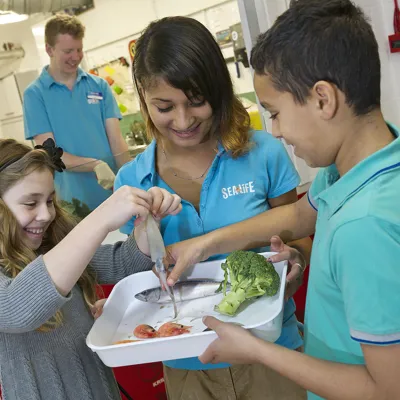 Sealife Schools Programs | SEA LIFE Aquarium