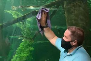 Cleaning at SEA LIFE | SEA LIFE Aquarium