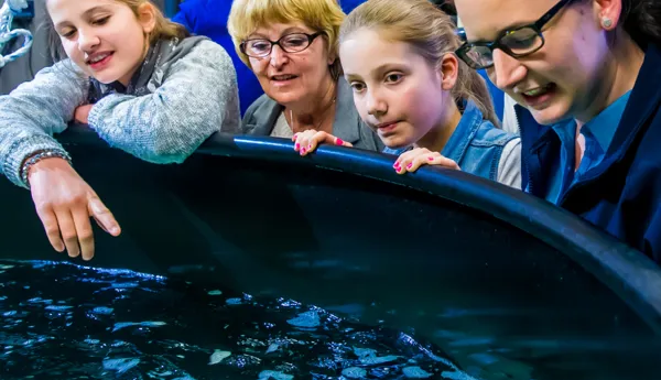 BTS Tour | SEA LIFE Michigan Aquarium
