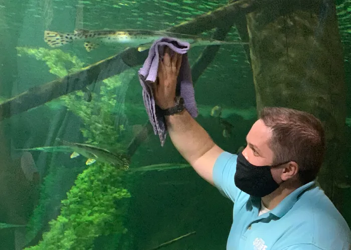 Cleaning | SEA LIFE Aquarium