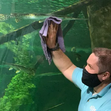 Cleaning | SEA LIFE Aquarium