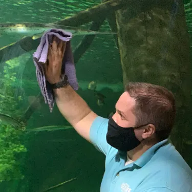 Cleaning | SEA LIFE Aquarium