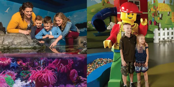 Combo Ticket | SEA LIFE New Jersey Aquarium