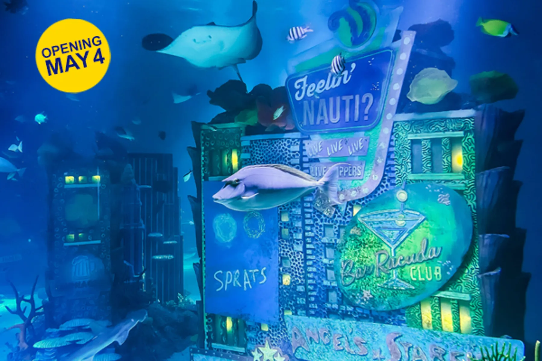 In the News - Key Visual Announcement In the News - Key Visual Announcement