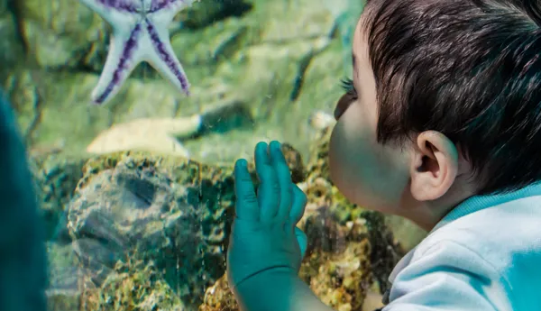 Meet The Creature | SEA LIFE Aquarium