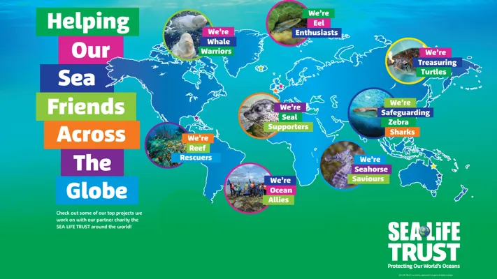 Help Sea Help Our Sea Friends | SEA LIFE New Jersey Aquarium