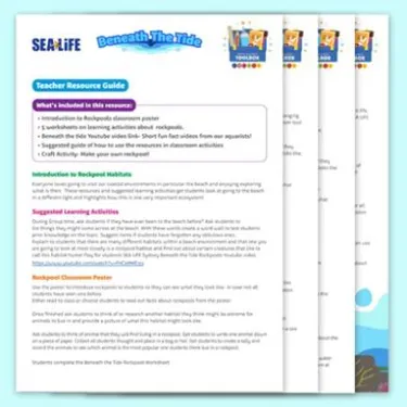 Teacher Guide Tile (1)