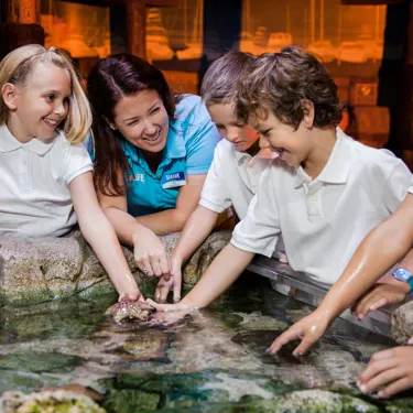 Sealife Schools Class Program | SEA LIFE Aquarium