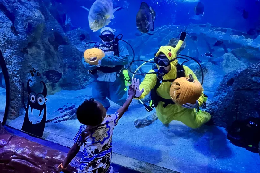 Underwater Pumpkin Carving