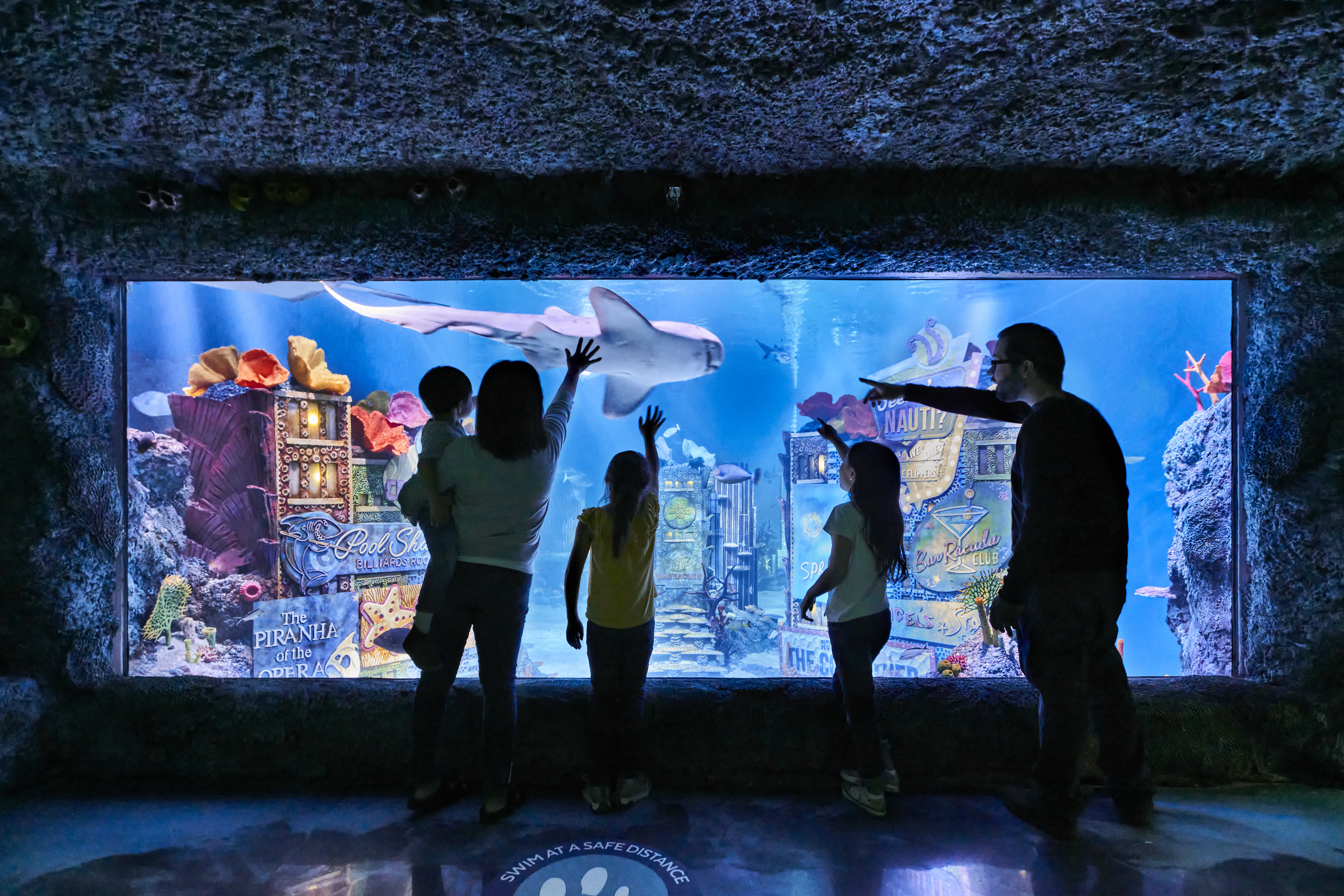Visit a city under the sea at SEAL Life Aquarium New Jersey at American Dream
