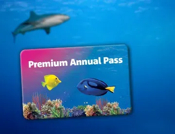 Sl Premium Annual Pass 360X276