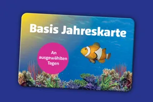 Accesso 1920X960px SL Basis (1)