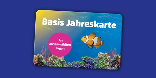 Accesso 1920X960px SL Basis (1)