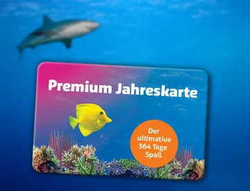 Accesso 360X276px SL Premium