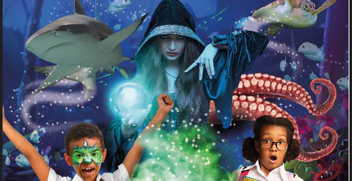 Halloween unter Wasser