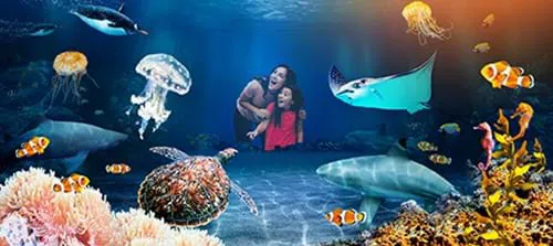 Im SEA LIFE gibt es viel zu entdecken