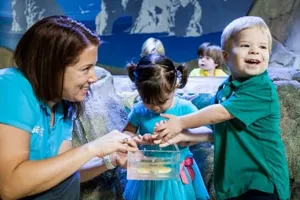 In SEA LIFE even the youngest children have great fun!