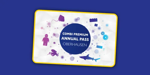 Accesso 1920X960px Kombi Premium EN