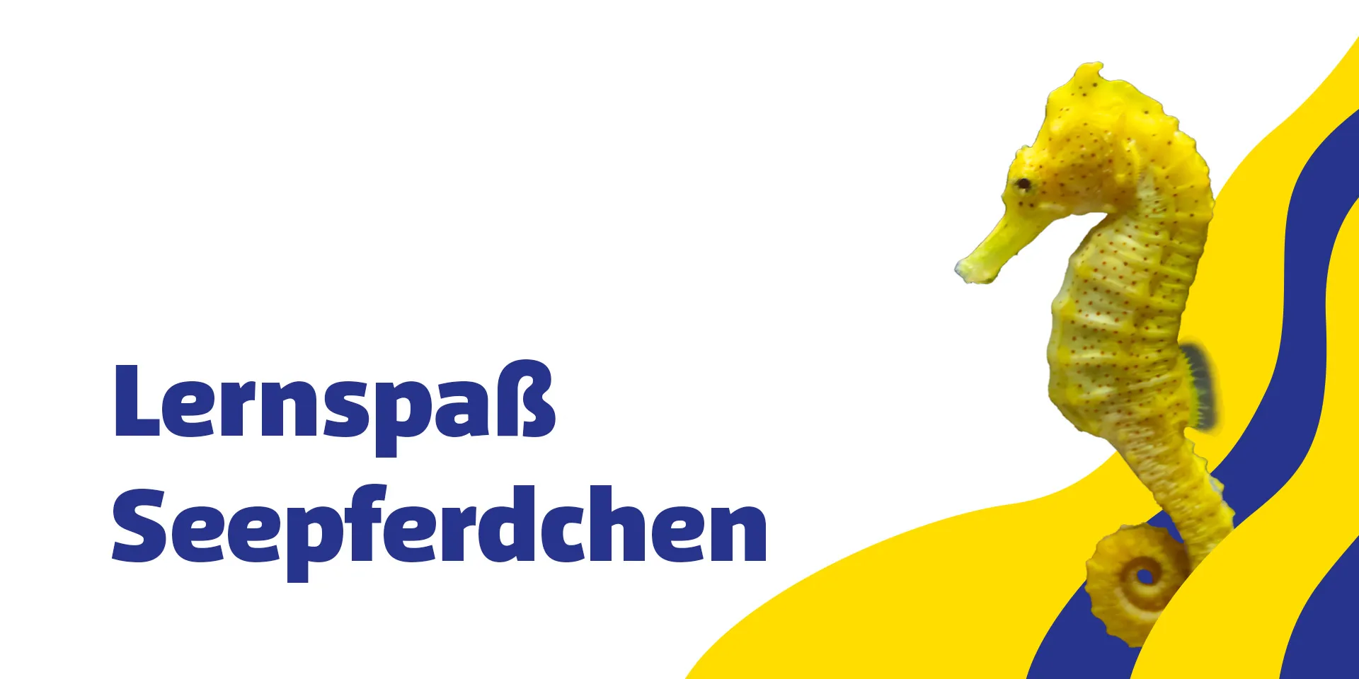 Sl 1920X960px Schule Lernspass Seepferdchen