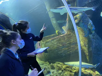 Fischinventur Im SEA LIFE Oberhausen