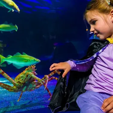 SEA LIFE Halloween Tiere