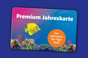 Accesso 1920X960px SL Premium (1)