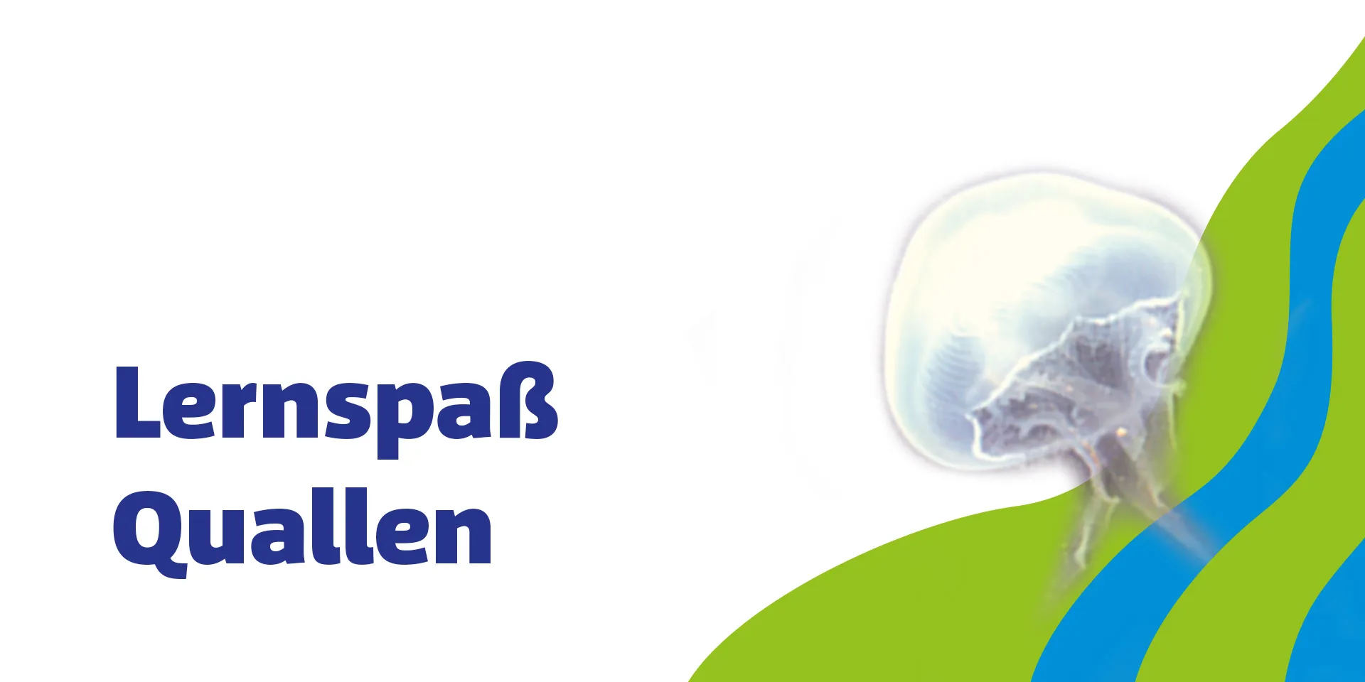 Sl 1920X960px Schule Lernspass Quallen