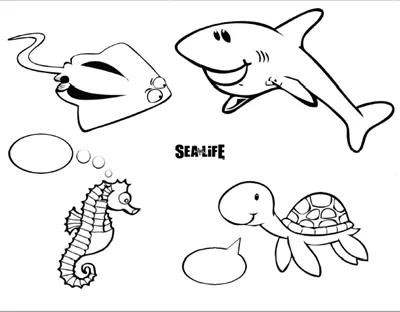 coloring picture water animals