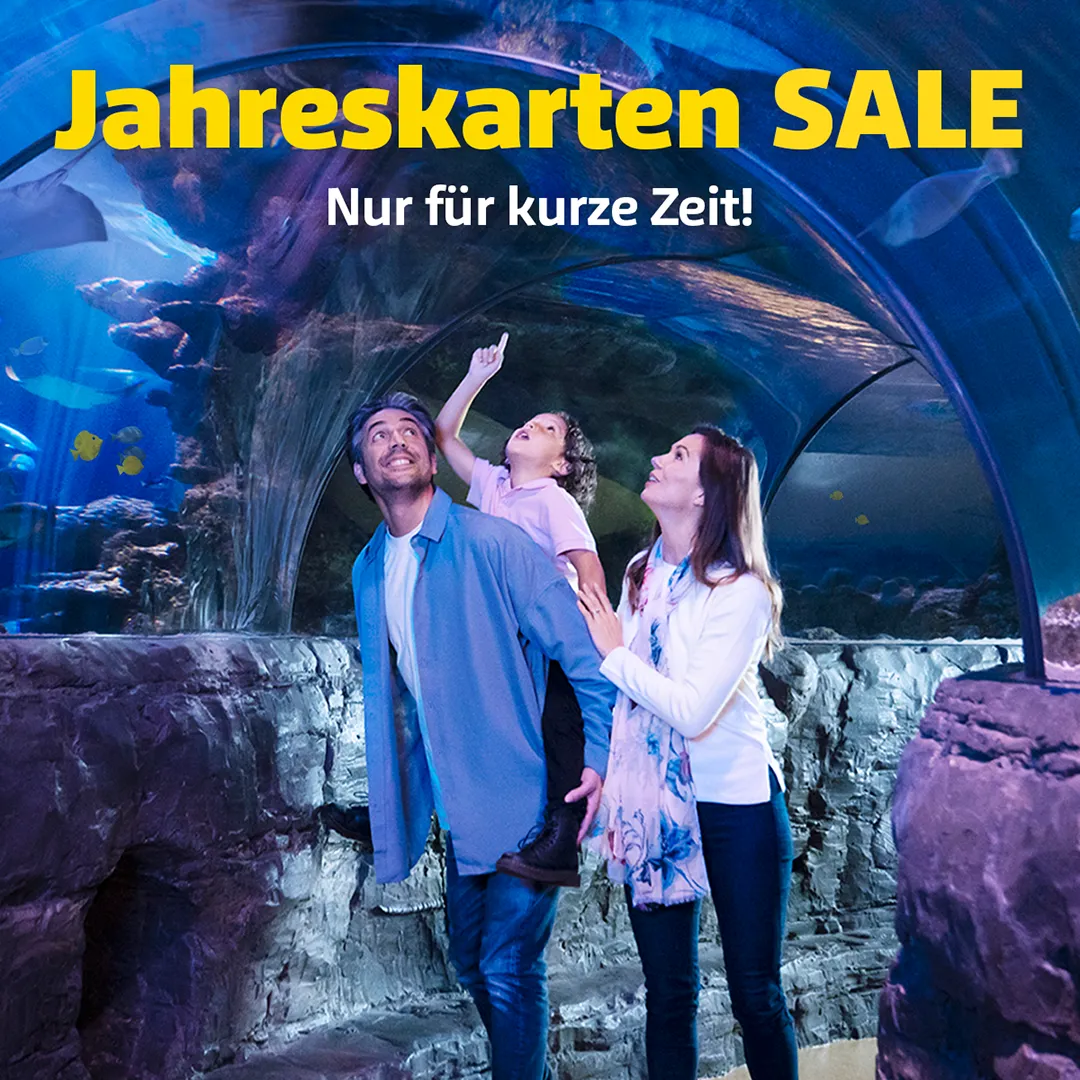 SL Slap Sale 1080X1080px