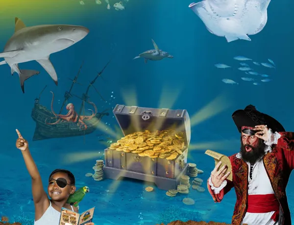 Piraten Teaser