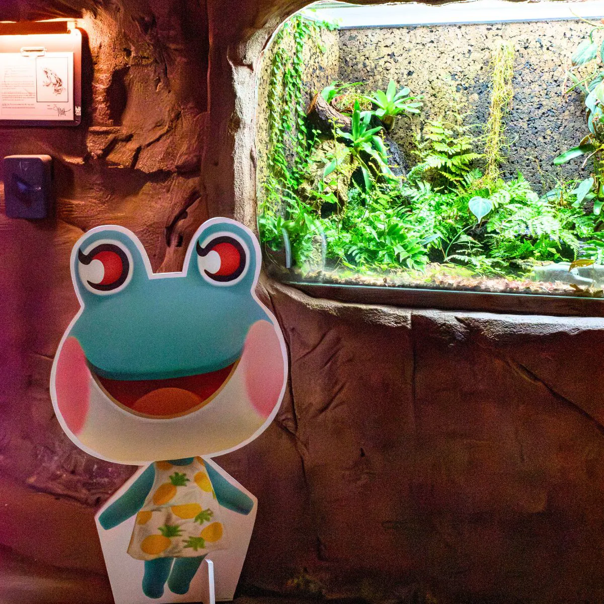 Froschdame