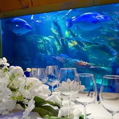 Abendessen mit Blick auf die Aquarien - das ist im SEA LIFE möglich