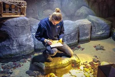 Fische Zählen Im SEA LIFE Oberhausen
