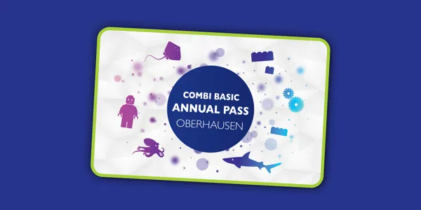 Accesso 1920X960px Kombi Basis EN