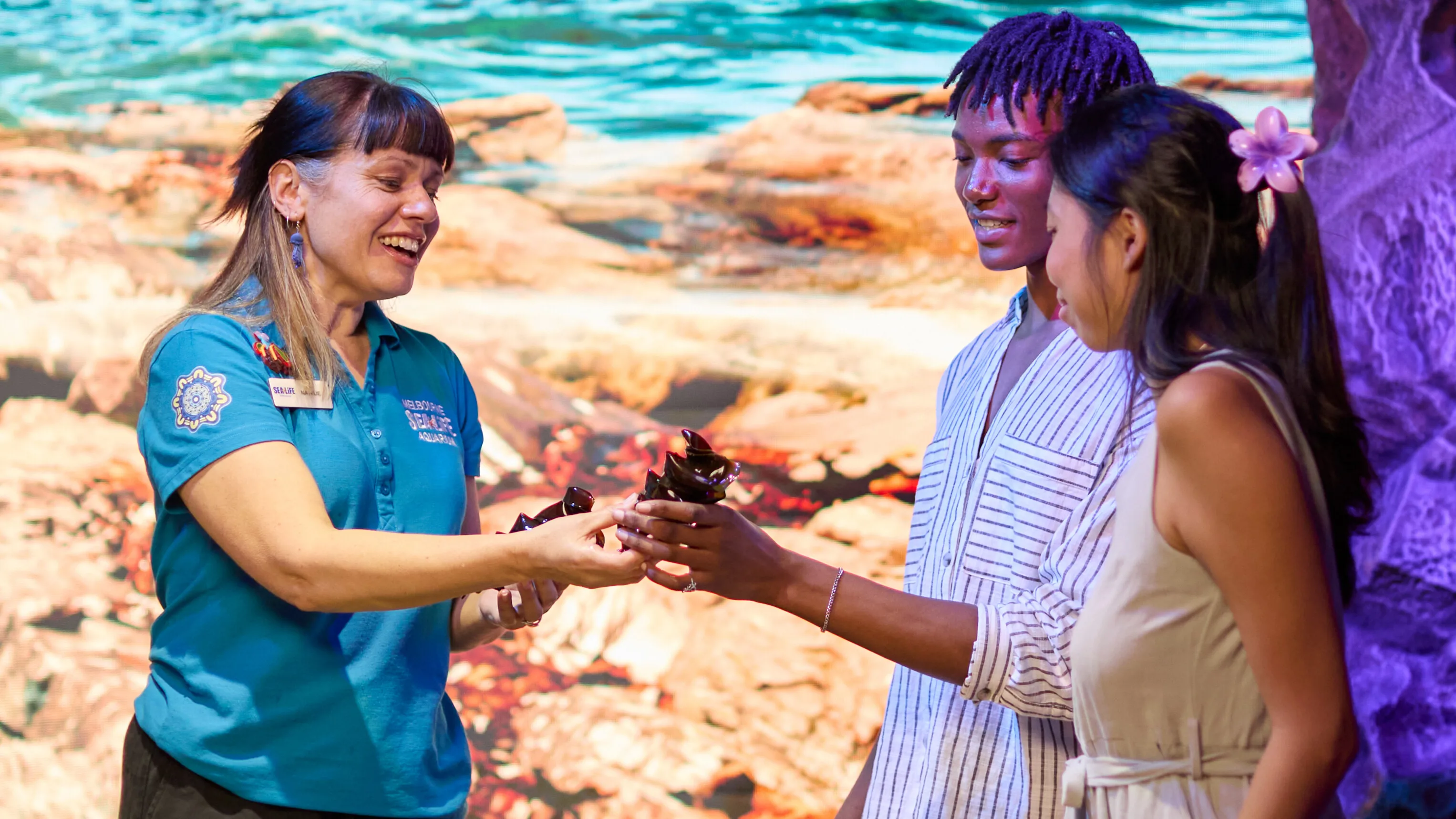 F66f05d1 2Aad 494D Bdb2 9A5ac1ecdb14