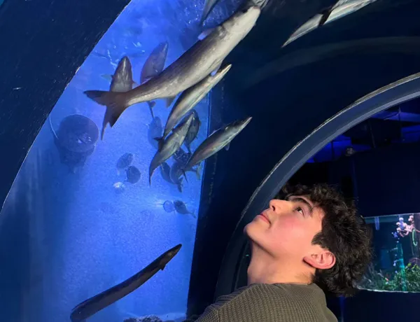 Kein Titel (1080 X 1350 Px) (2)