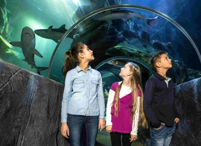 SLO Oceantunnel