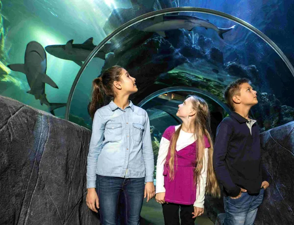 SLO Oceantunnel