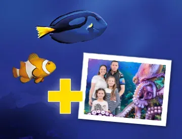 Sl Accesso 360X276 Kombi Kamera