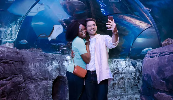 Bring A Friend SEA LIFE