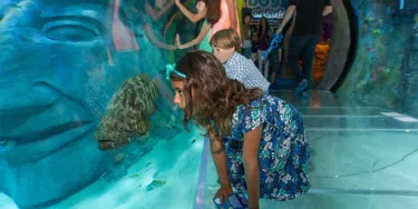 13 Things to Do in Orlando With Toddlers | SEA LIFE Orlando